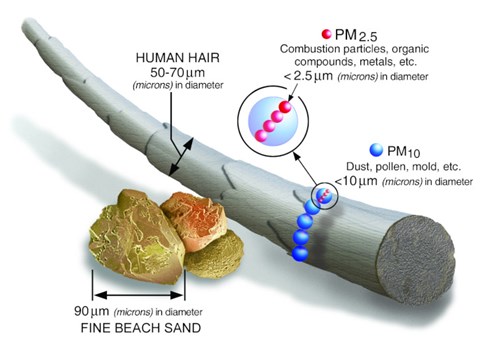 A comparison of diameters between a hair, a sand grain. The human hair is 50-70 microns and the grain of sand has a diameter of 90 microns. The image shows that dust and pollen are less than 10 microns and combustion particles are less than 2.5 microns in diameter.