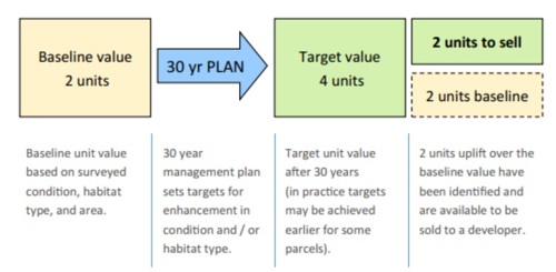 Baseline value 2 units: Baseline unit value based on surveyed condition, habitat type, and area. 30 year plan: 0 year management plan sets targets for enhancement in condition and / or habitat type. Target value 4 units: Target unit value after 30 years (in practice targets may be achieved earlier for some parcels). 2 units to sell, 2 units baseline: 2 units uplift over the baseline value have been identified and are available to be sold to a developer.