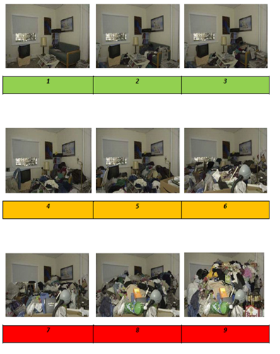 2.	A series of 9 photos showing the same lounge with an increasing level of clutter. The first photo shows a lounge with no clutter, and the last shows the same lounge with so much clutter that the window is blocked, the clutter reaches the ceiling and it is not possible to get into the room.
